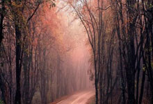 拉莫斯39岁生快！西甲、法甲官推均发文表示祝福.