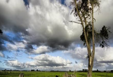 英超-帕尔默破门无果 切尔西1-1水晶宫四轮不胜.