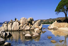 马竞对阵巴萨进球+绝杀reaction.